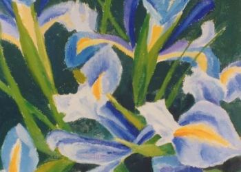 Irises, oil. Sarah Colgate ©