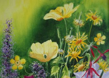 Welsh Poppy, acrylic, Sarah Colgate ©