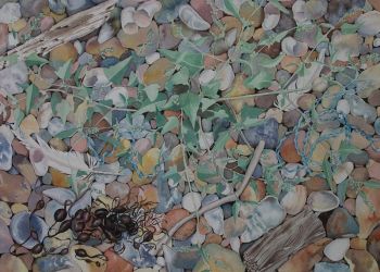 Coastal Shingle, acrylic ink, Sarah Colgate ©