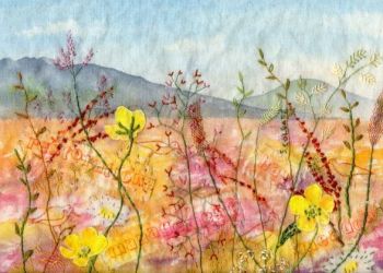 Hay meadow management, Sarah Colgate ©